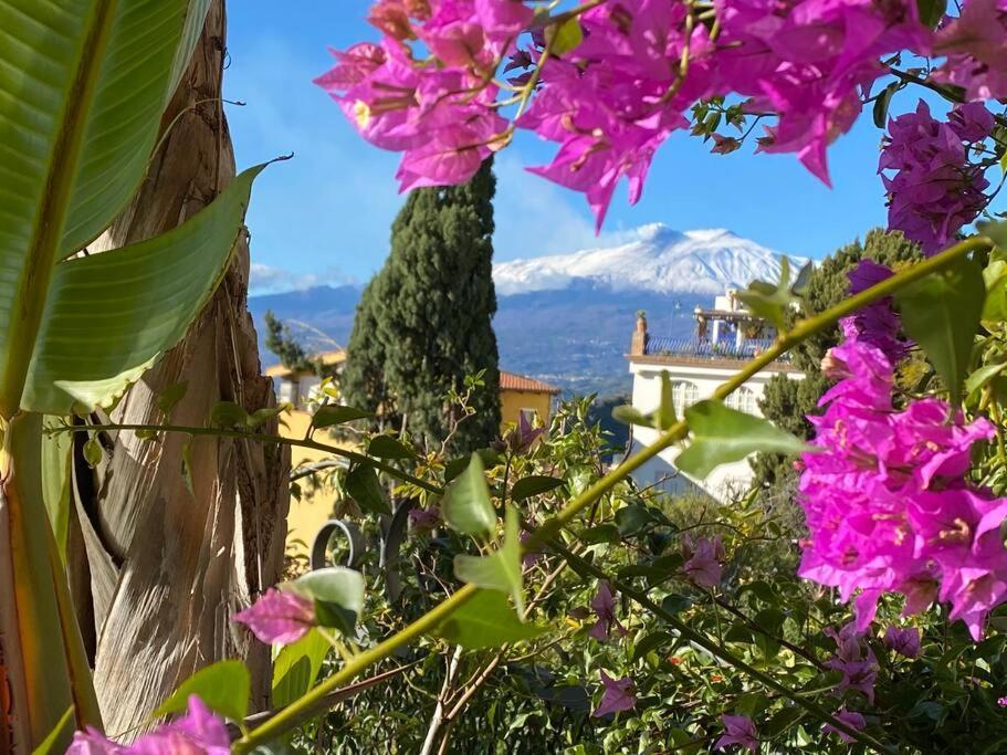 Atelier Taormina Spacious Guesthouse With Pool Eksteriør billede